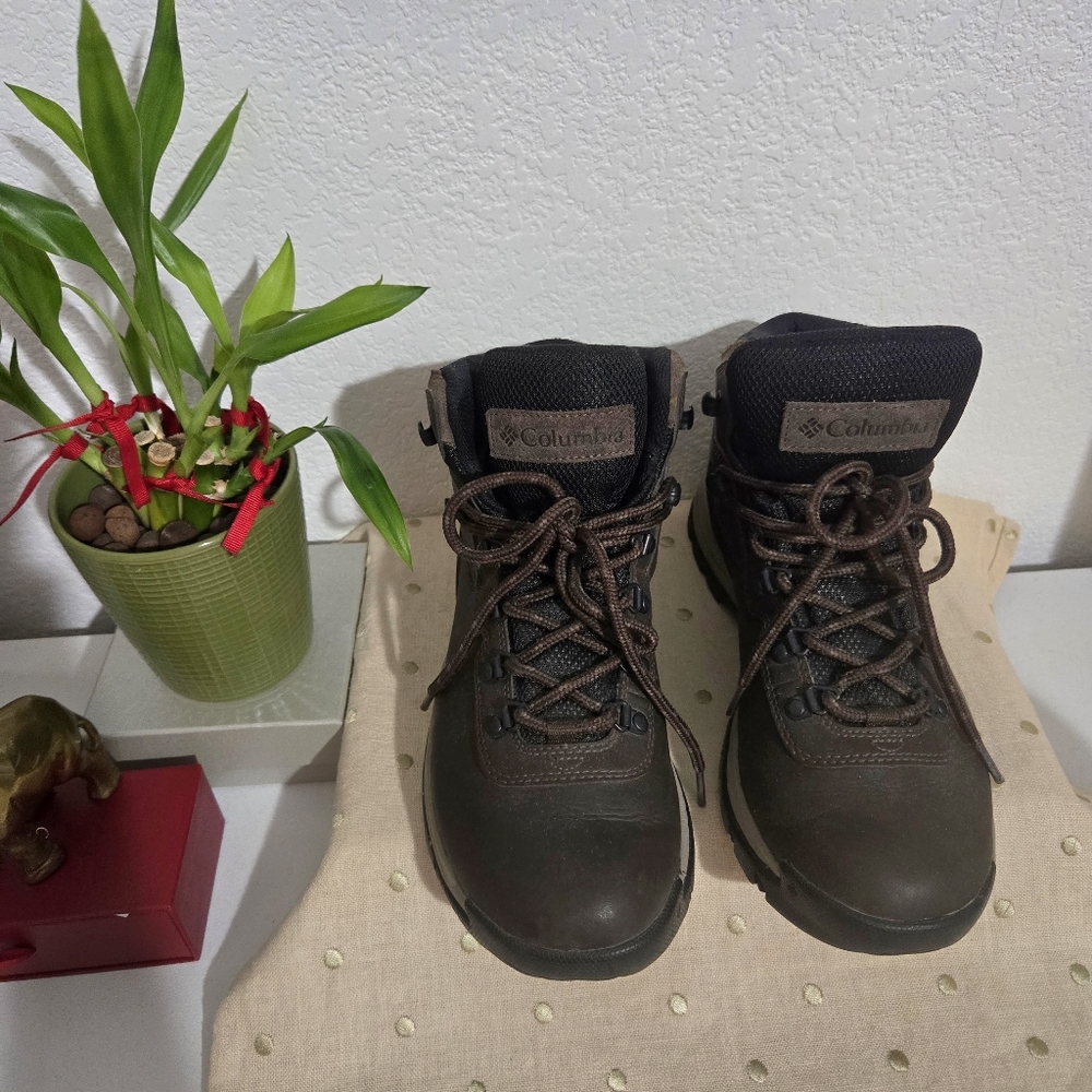 Columbia Brown and Black Waterproof Athletic Hiking Boots